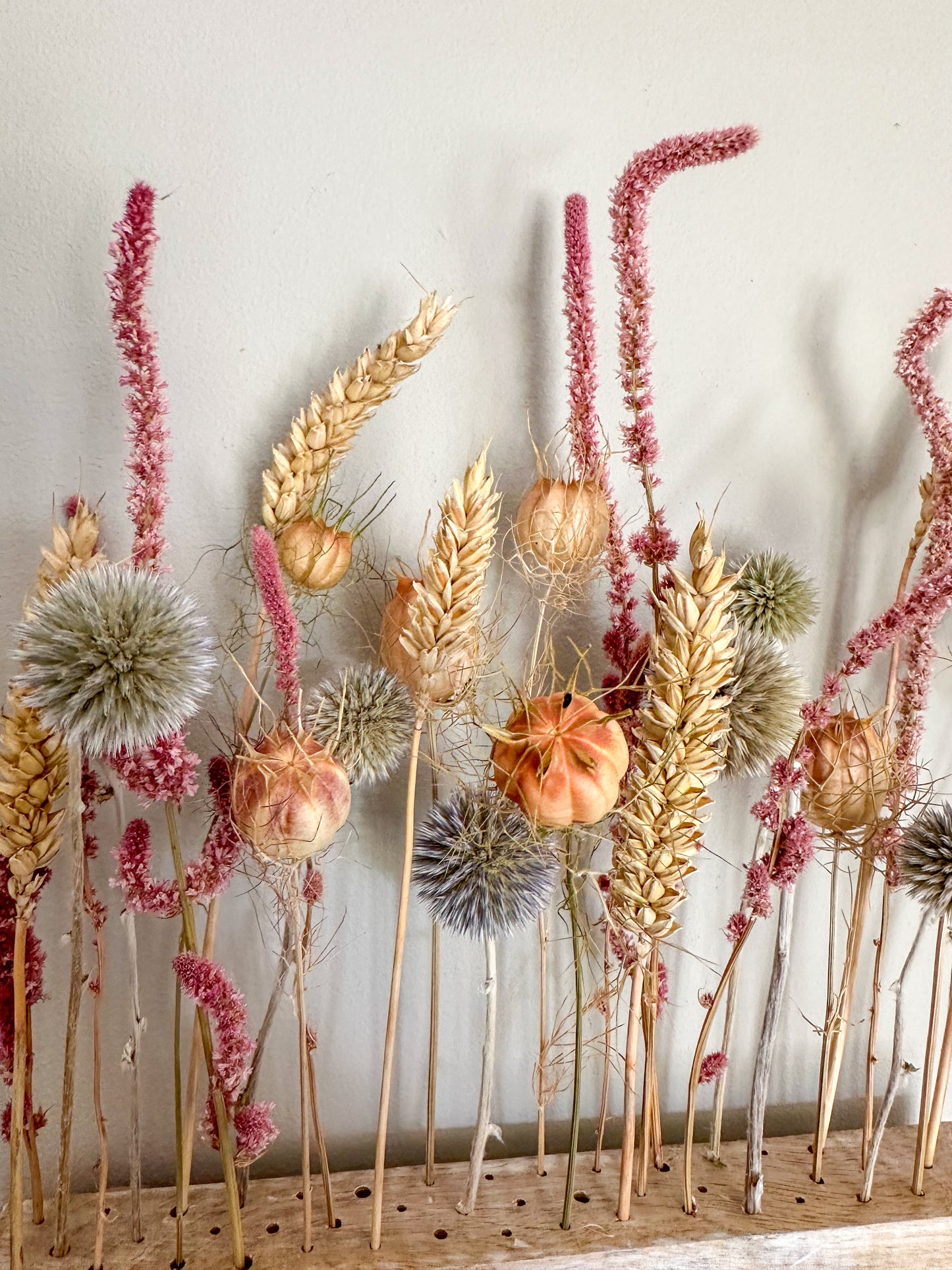 Dried flower bar - meadow